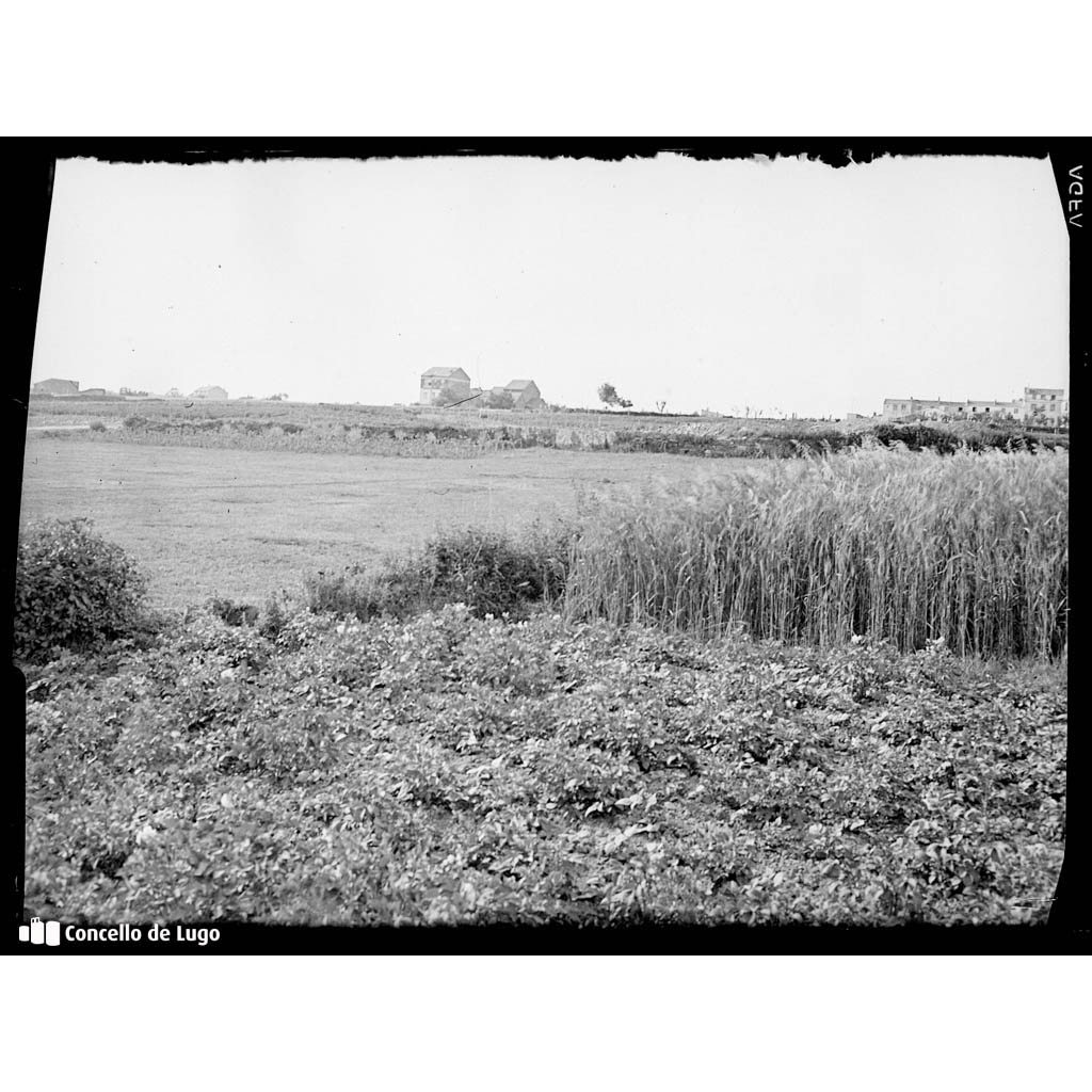 Tierras de labor en parte posterior de la Colonia de Antonio Miño