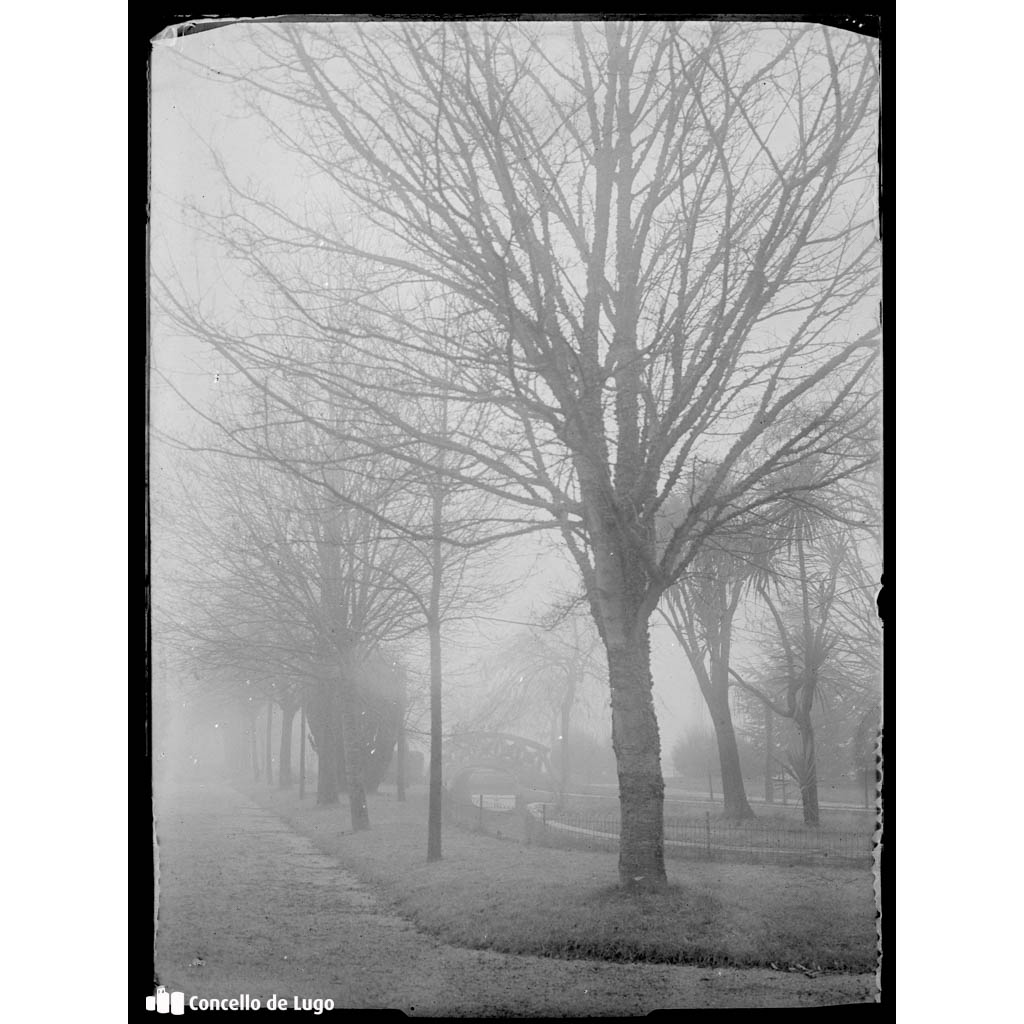 Niebla en el Parque de Rosalía de Castro