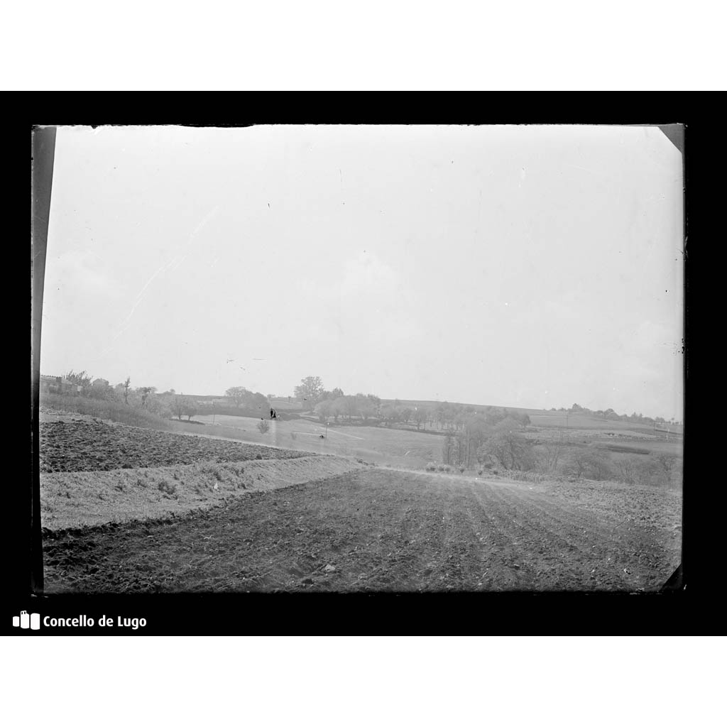 Vista dun campo de cultivo con árbores ao fondo