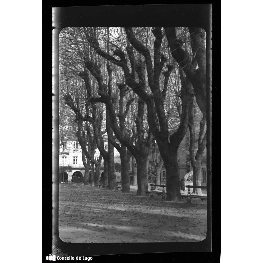 Alameda en invierno. Praza Maior