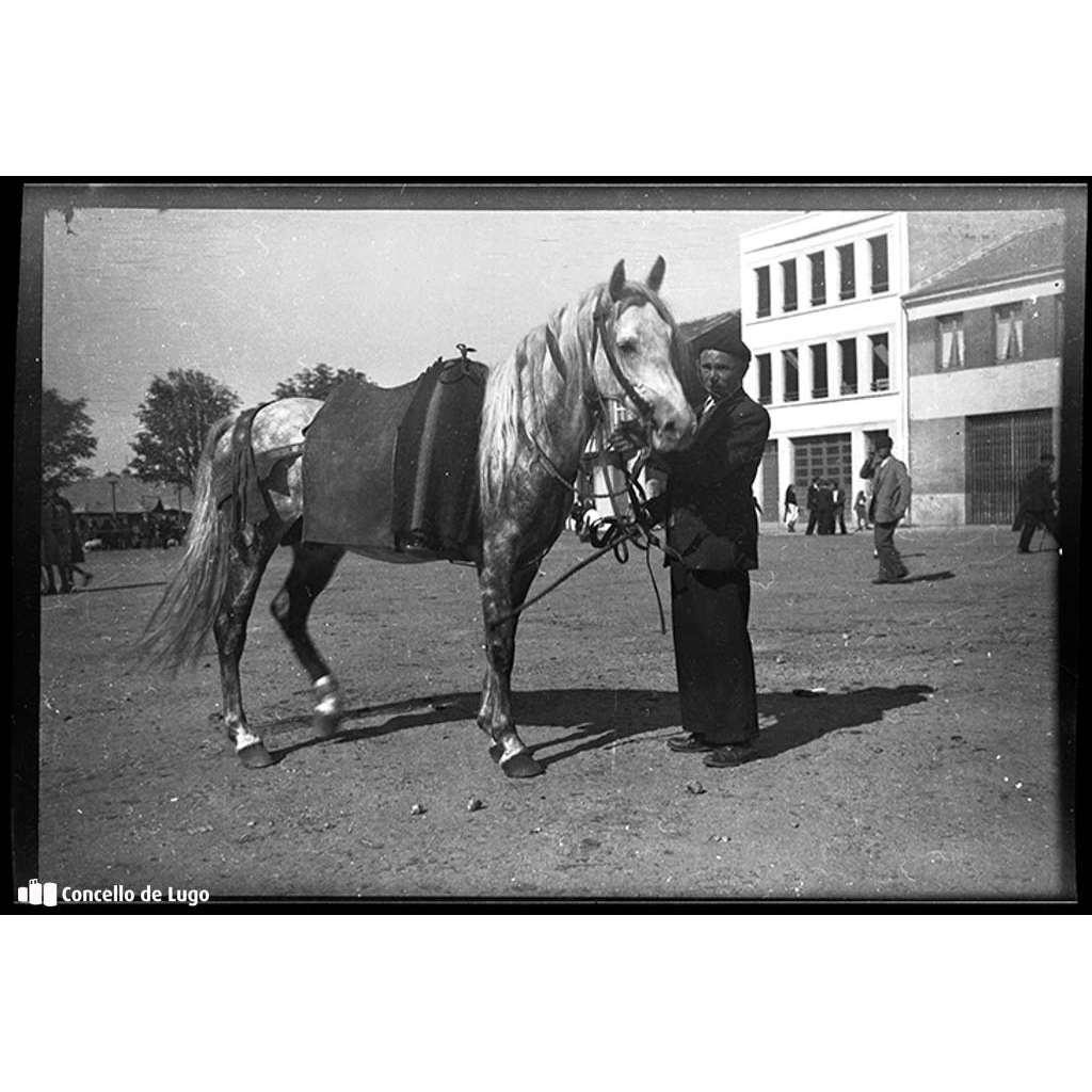 San Froilán. Concurso de gando