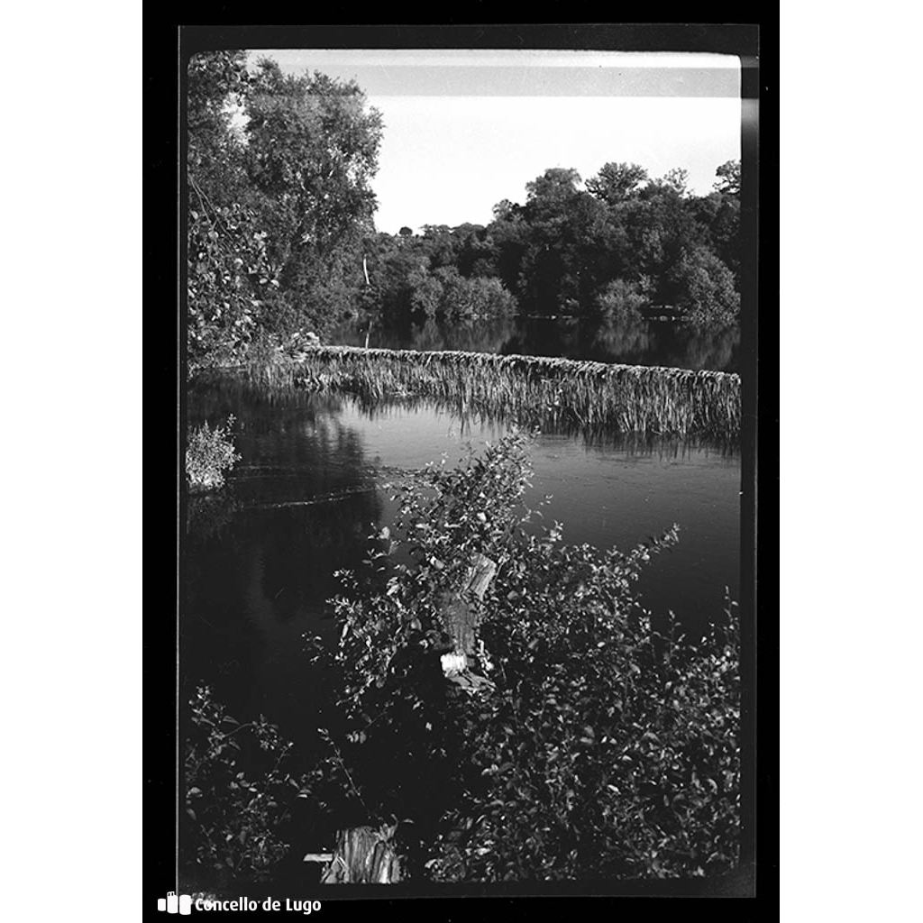 Río Miño nas proximidades do lugar de Augas Férreas