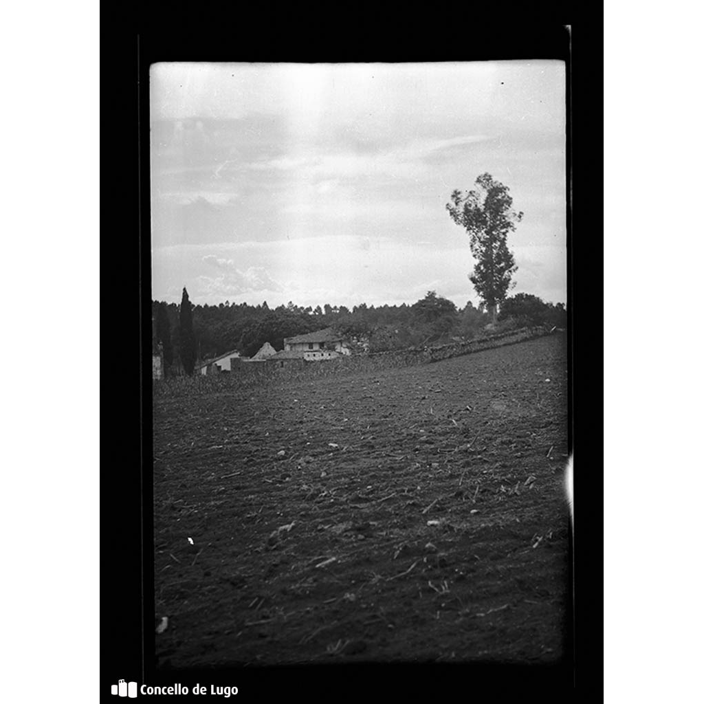 Romería de Eiré. Vista dun campo de colleita