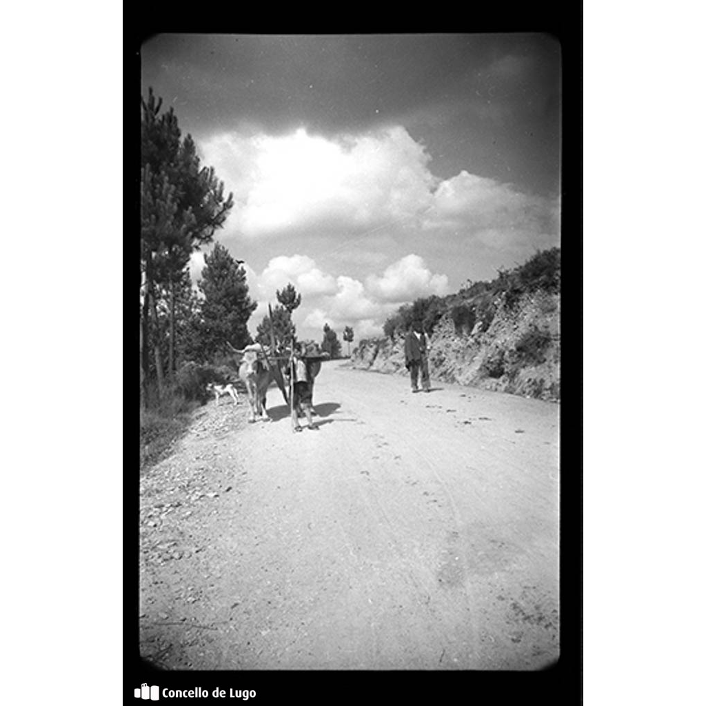 Carro de vacas na estrada de Portomarín