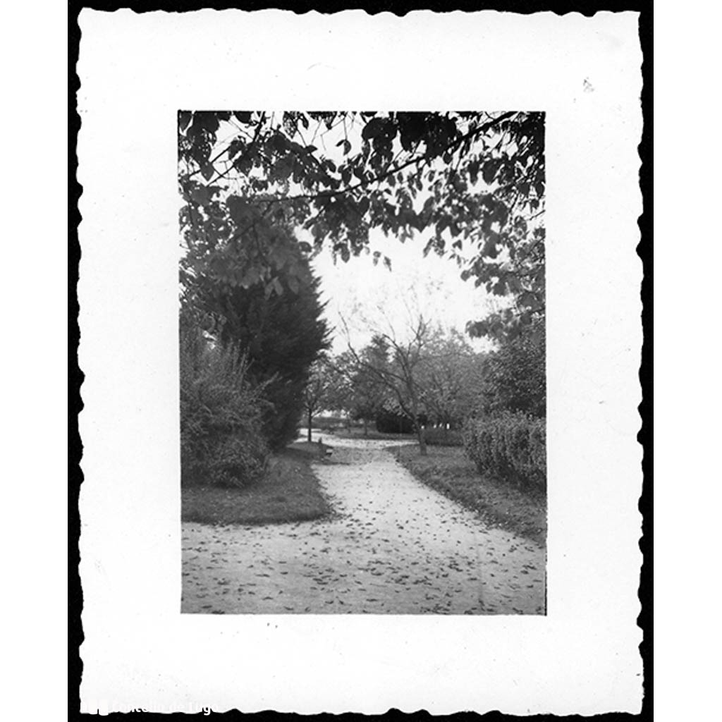 Parque Rosalía de Castro. Lugo