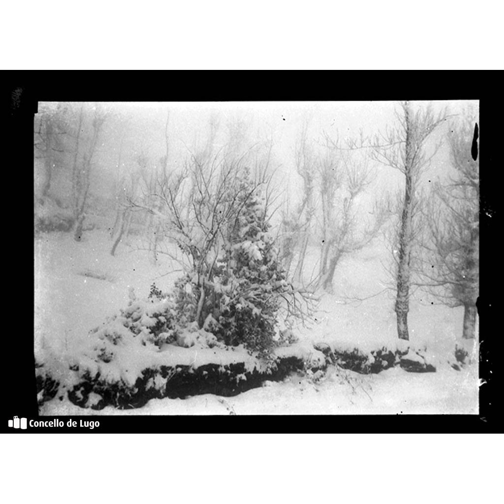 Paisaxe natural nevado