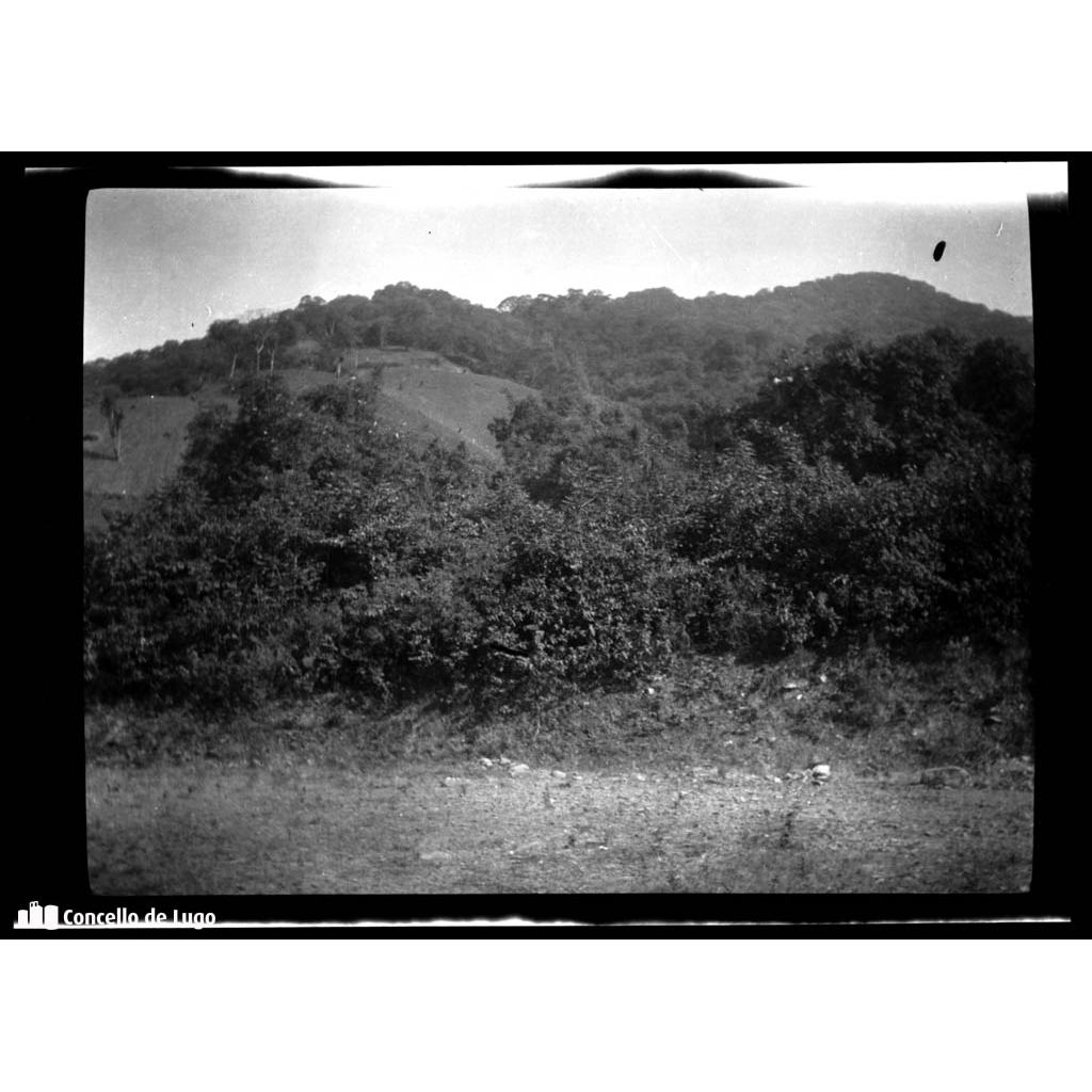 Serras de Córdoba (Arxentina). Vista xeral dun bosqu